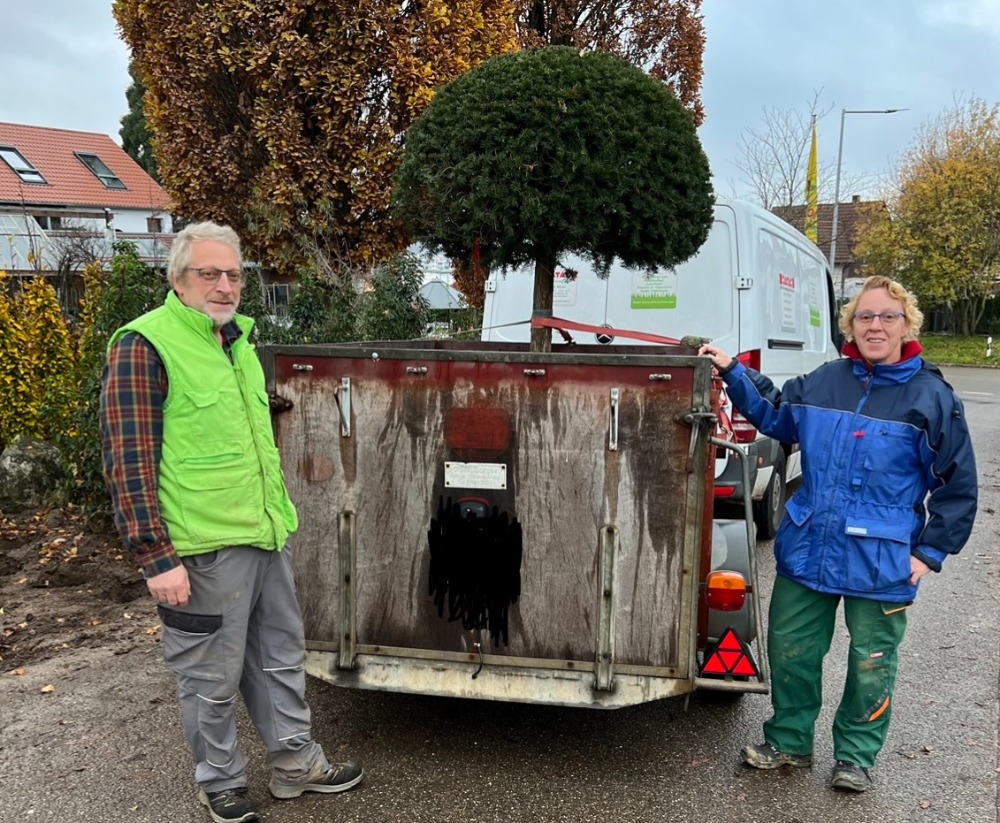 Grundstücks- und Gartenpflege Anita Maier